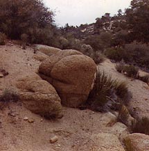 Butt rock